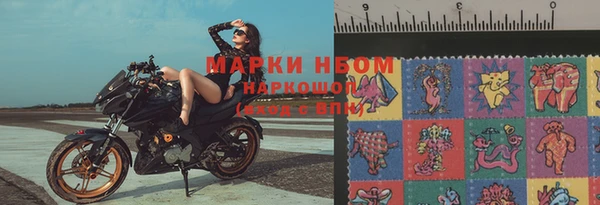 индика Беломорск