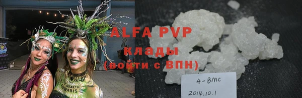 трава Белокуриха