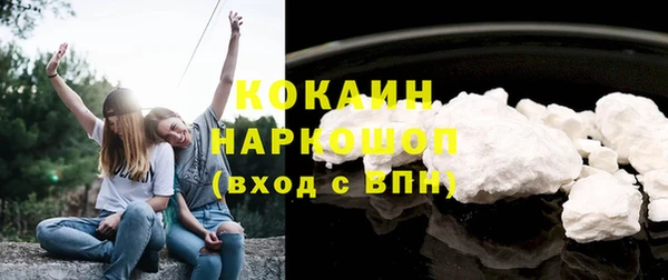 трава Белокуриха