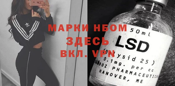 индика Беломорск