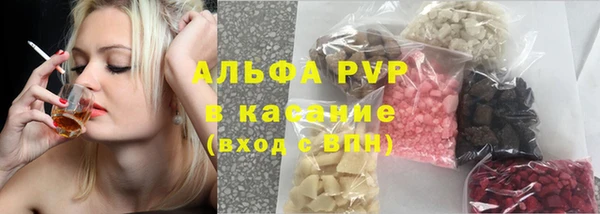 трава Белокуриха