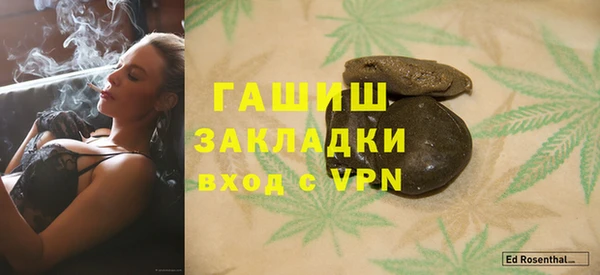 индика Беломорск