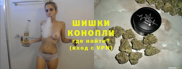 индика Беломорск
