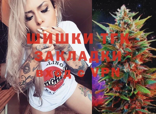 индика Беломорск