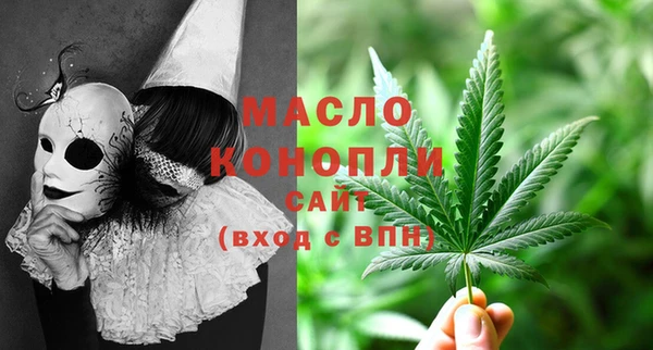 индика Беломорск