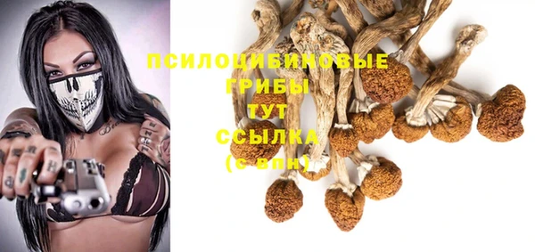 трава Белокуриха