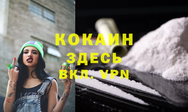 индика Беломорск