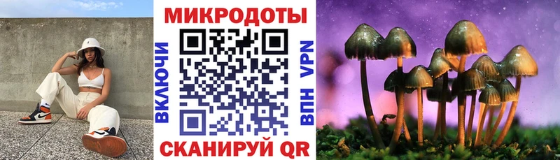 Псилоцибиновые грибы прущие грибы Плёс